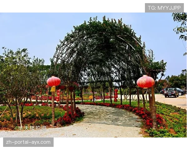 模拟选秀更新：基于最新战绩，法国新星里萨谢升至模拟选秀榜首位